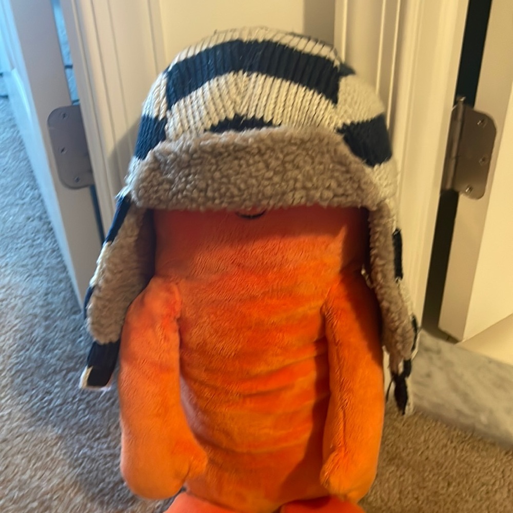 OshKosh brand boys winter hat with ear flaps